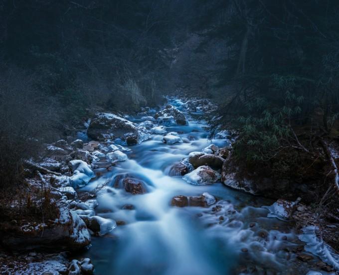 拯救小萌虎